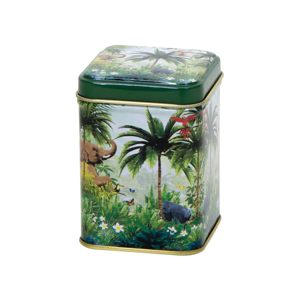 Caddy Rain Forrest Design