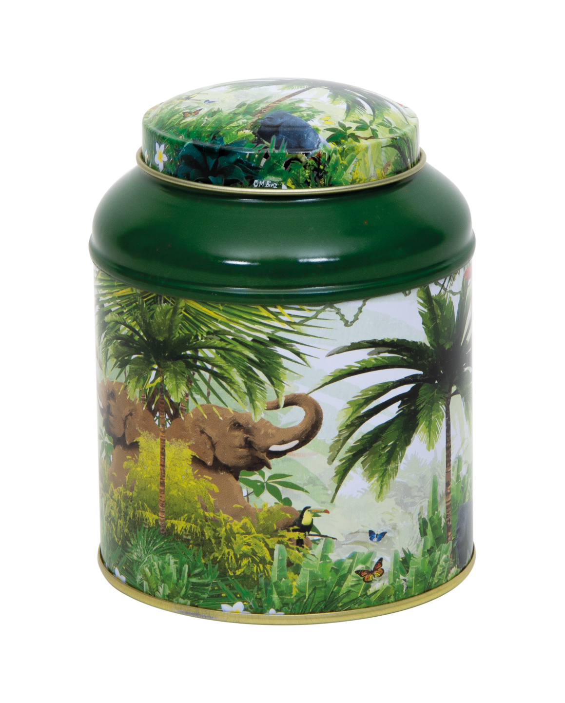 Rain Forest Domed Tea Caddy