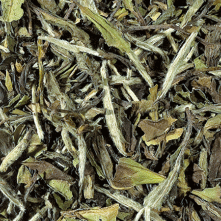 White Tea (Pai Mu Tan)